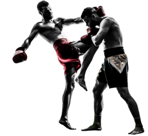 Mixed martial arts PNG, MMA PNG-70416